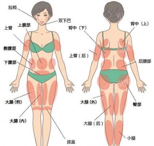 吸脂瘦身 你想要的?你害怕的?let"s talk! fat fat fat!